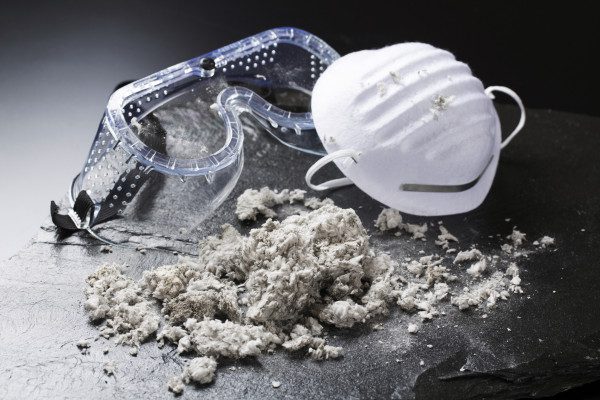 Asbestos bulk identification